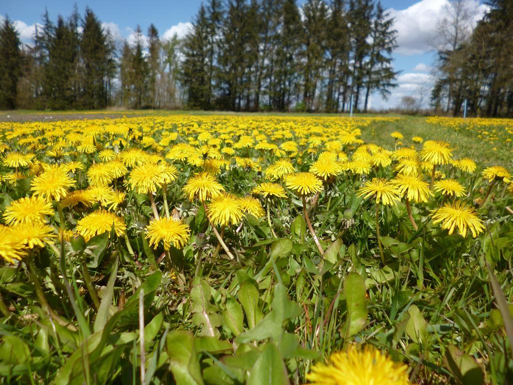 Ferienwohnung Rossenhof Weesby Esterno foto